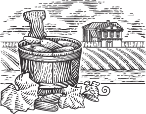 Тайны вятских огуречников.png